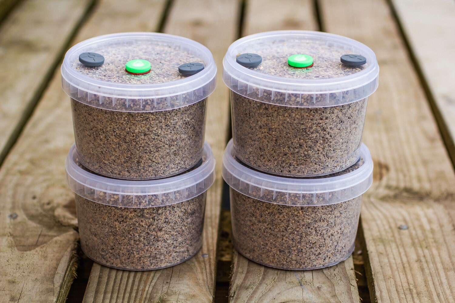 560ml PF Tek Brown Rice Flour & Vermiculite Sterile Mushroom Etsy UK