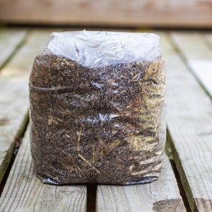May include: A clear plastic bag filled with a dark brown substrate, likely for growing mushrooms. The bag is sitting on a wooden surface.