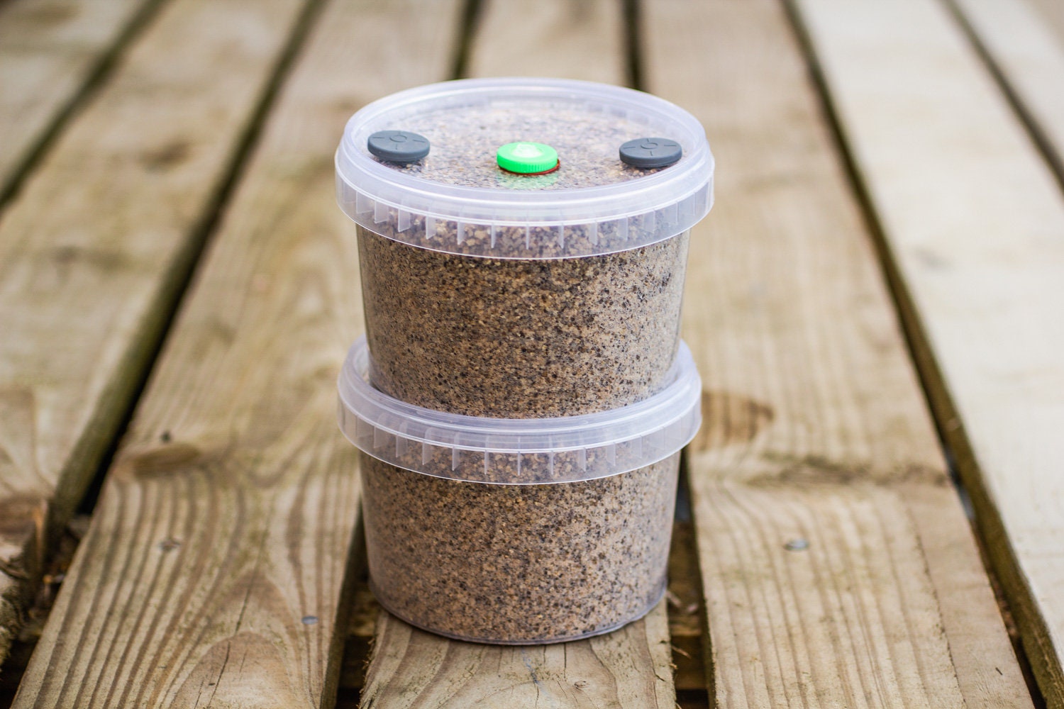 560ml PF Tek Brown Rice Flour & Vermiculite Sterile Mushroom Etsy UK