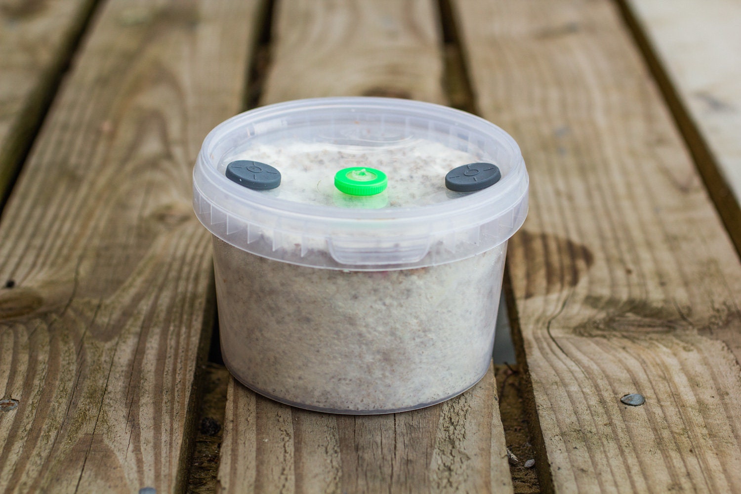 560ml PF Tek Brown Rice Flour & Vermiculite Sterile Mushroom Etsy UK