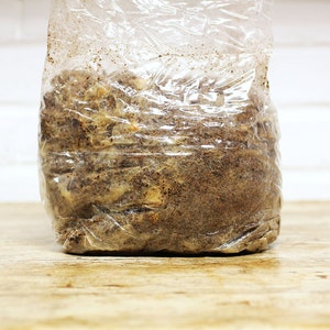 May include: A transparent plastic bag containing a light brown, granular material. The bag is sealed and likely holds a substrate, possibly for mushroom cultivation. The background is a light-coloured wooden surface.