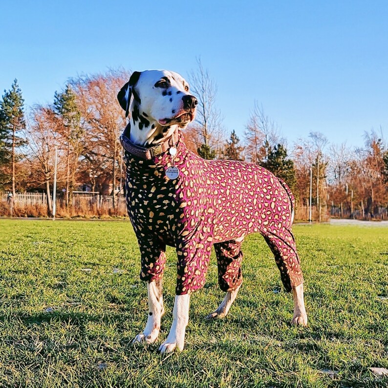 Dog Coat Puppy Jacket Dog Body suit dog clothes luxury Etsy