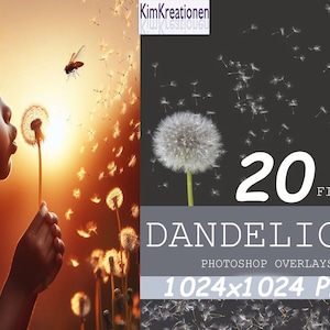 May include: A set of 20 digital dandelion overlays for Photoshop. The overlays are 1024x1024 pixels and are in PNG format. The image shows a child blowing on a dandelion with seeds floating in the air.