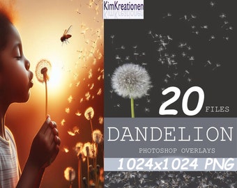 Dandelion overlays, Realistic Dandelion Photoshop Overlays, Spring photoshop overlays, dandelion flowers, Digital Background, Dandelion Seed