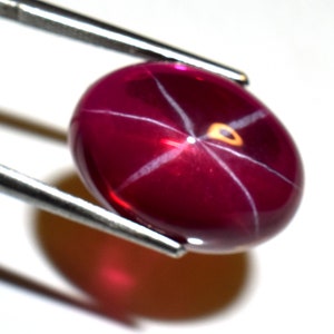 May include: A deep red star ruby gemstone with a six-pointed star in the center. The ruby is held by a pair of tweezers.
