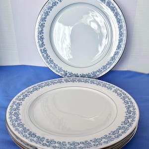 Può includere: Piatti in ceramica bianca con bordo floreale blu e bordo argentato. I piatti sono impilati su una superficie blu. I piatti fanno parte di un servizio di piatti.