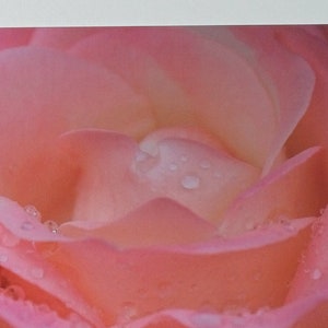 Um grande cartão postal rosa