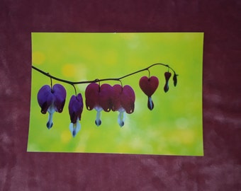 Happy hearts garden love flower eine portion liebe postkarte