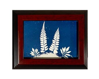 Framed Botanical Cyanotype | Fine Art by Cory Rocio Carrasco