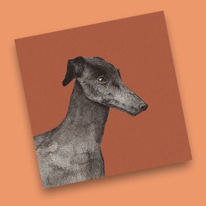 Black Greyhound Art Print