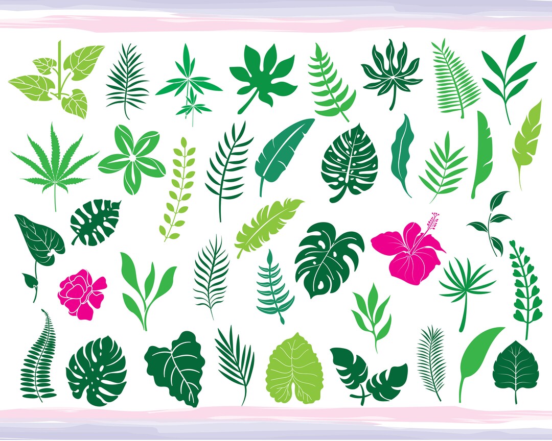 Monstera SVG Bundle Tropical Leaves Svg Palm Branch Svg Jungle Leaves ...