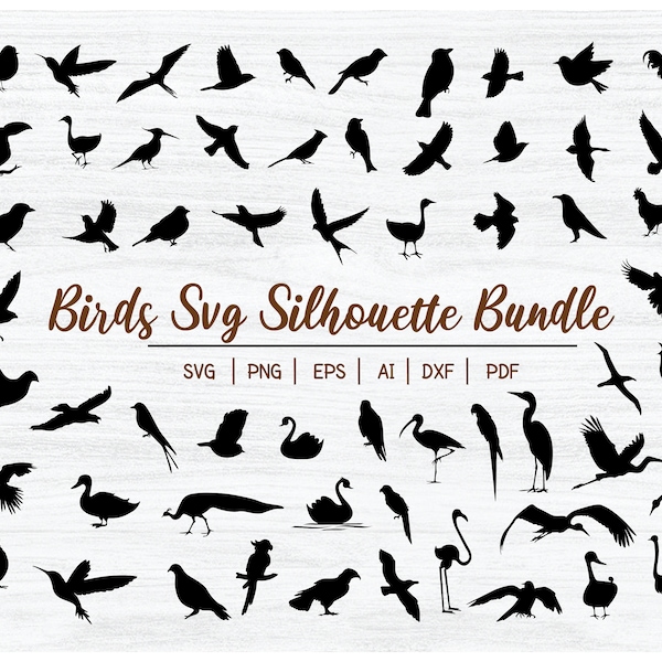 60 Bird Svg Bundle, Birds Svg, Flying Bird svg,Birds clipart. Bird Silhouette Svg, Svg Files for Cricut, Svg,Png, Eps,Pdf,dxf, Vector Design