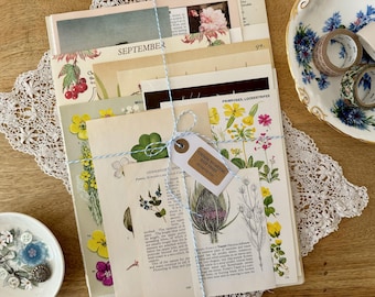 Vintage Botanical Book Pages – Paper Ephemera Pack for Junk Journals