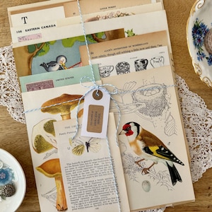 Páginas de libros vintage - Juego de 20, paquete de papel surtido, papel efímero vintage, paquete de papel de técnica mixta, kit de collage, suministros para revistas basura