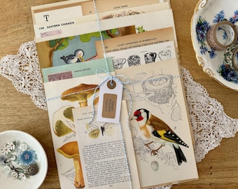 Vintage Book Page Ephemera Pack - Mixed Media, Collage, Junk Journal Supplies