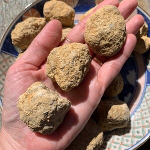 May include: A collection of seven rough, light brown, natural crystal geodes. The geodes are various sizes and shapes, and are displayed on a blue and white patterned plate.