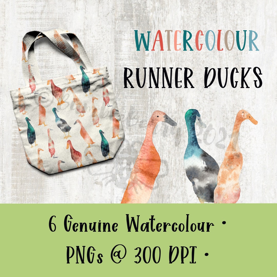 Genuine Watercolour Runner Duck Pngs, 6 Duck Hens and Drakes Images