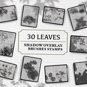 Blätter Schatten-Overlay, Procreate Pinsel Stempel, 30 botanische Schattierungen Overlay, Pflanze Schatten für Fortpflanzung