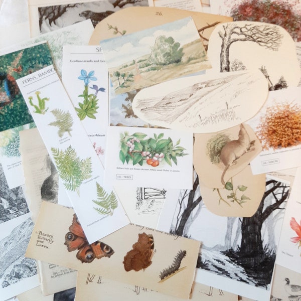 30 Sheets Nature Animals Birds Woodland... Vintage Mixed Print Bundle... Paper Ephemera... Junk Journal... Vintage Collage Pack (a)