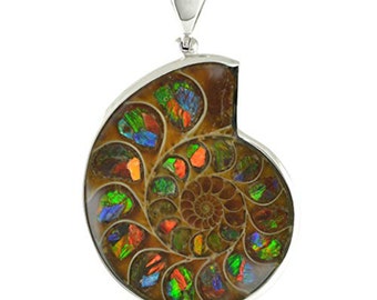 Starborn Ammolite in Ammonite Inlay Work Inlay Sterling Silver Pendant