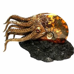 Large Artistic Ammonite Sculpture with Lava Base