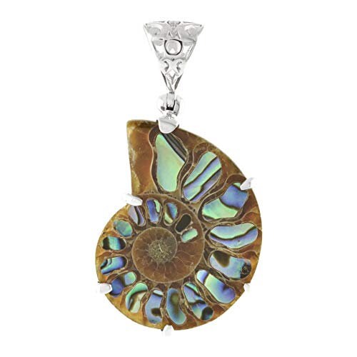 Starborn Ammonite Pendant Inlaid in Abalone online (Paua Shell) in 925 Sterling Silver Filigree Backside