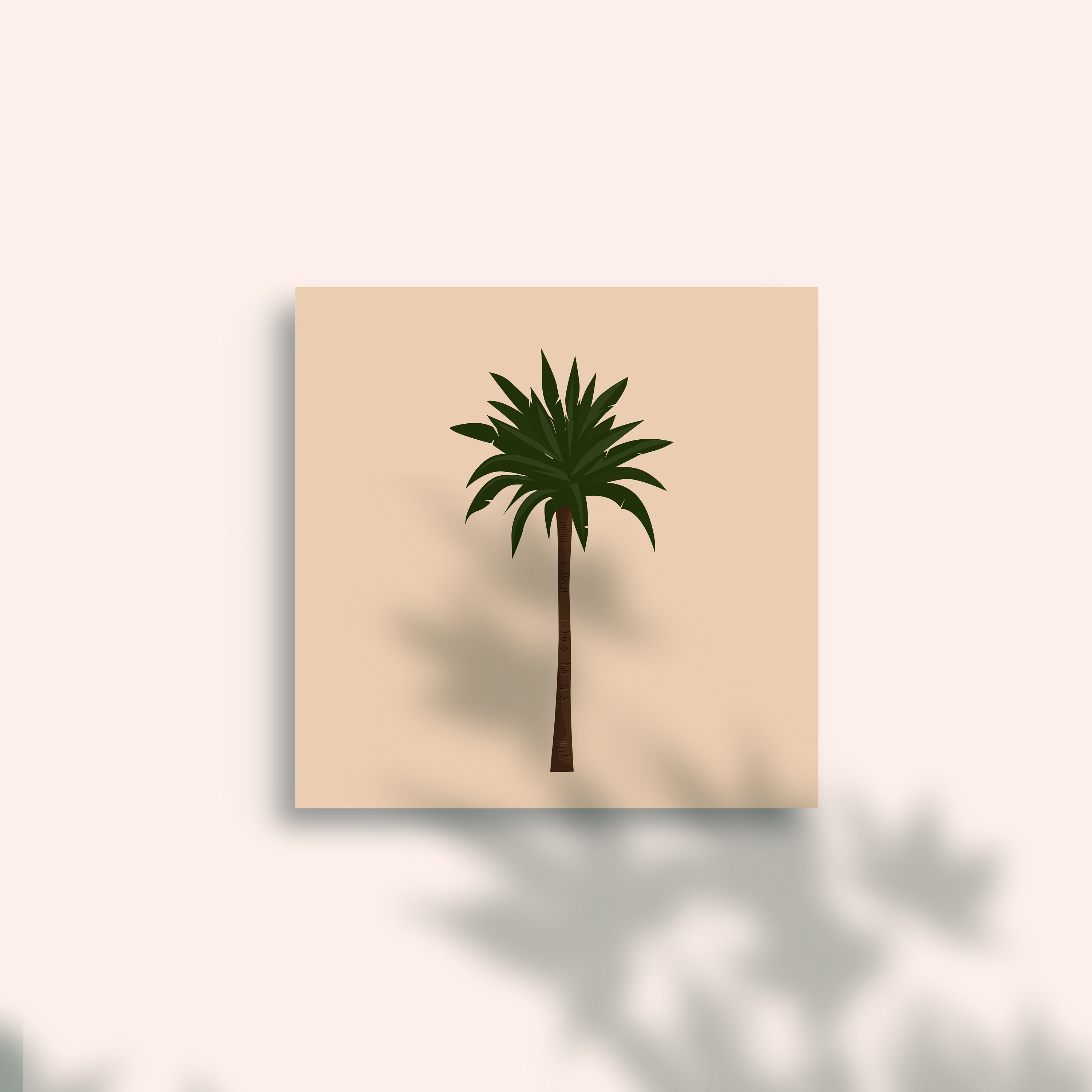 Palm Tree, Maroc