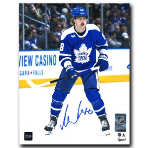 Lids William Nylander Toronto Maple Leafs Fanatics Authentic Unsigned  Framed 15 x 17 Player Panel Collage
