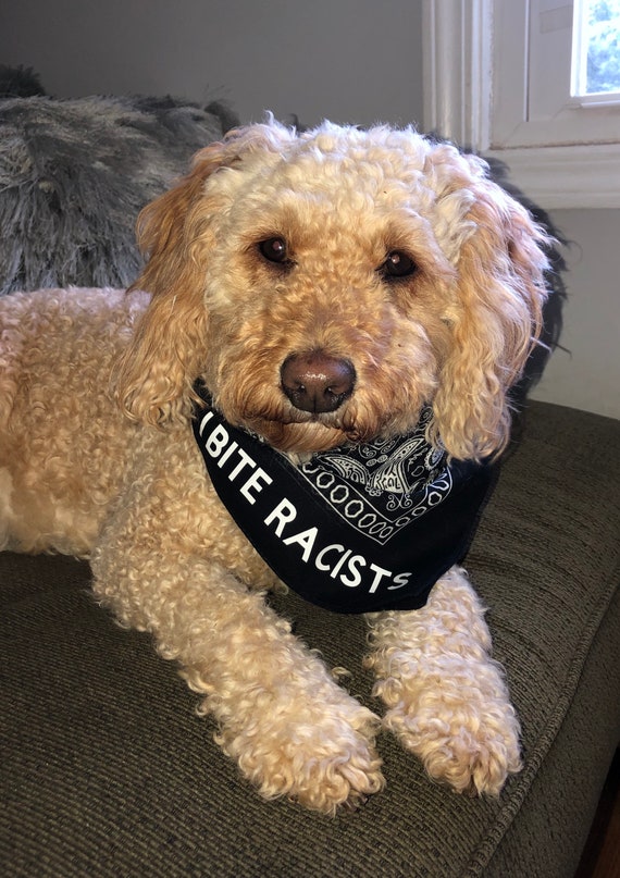 Blm hotsell dog bandana