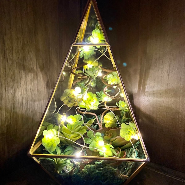 Handmade! Gold Hanging / Standing Triangle Metal and Glass Terrarium with Faux Succulents, Moss, & Green Succulent String Lights