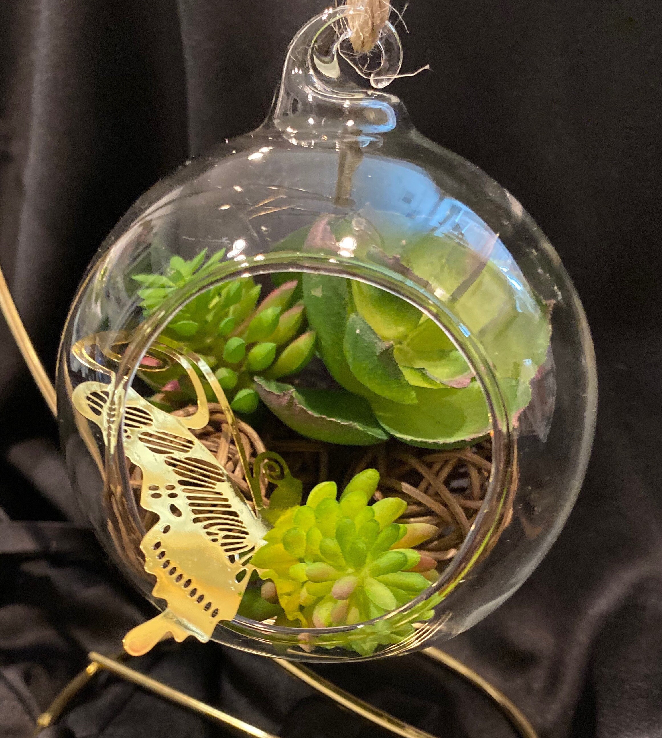 Hanging Glass Globe/Orb Terrarium with Vine Spheres Mini Faux Etsy