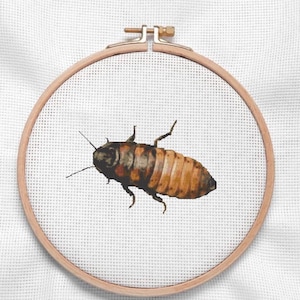 May include: Cross-stitch embroidery of a Madagascan hissing cockroach, featuring a detailed insect design in shades of brown, orange, and black. The artwork is set within a wooden embroidery hoop, displayed against a white fabric background.