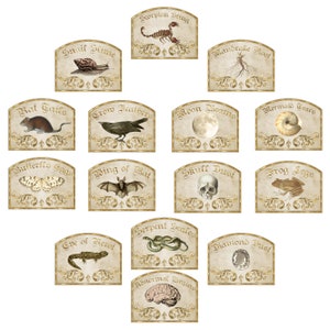 Vintage Style Apothecary Stickers Waterproof Labels for Witches&#39; Decor - Halloween Essential