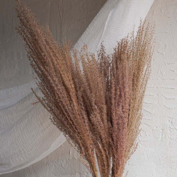 Natural Dried Eulalia | Growers Bunch | Preserved Flowers | Dried Grasses | Flowers | Boho Decor | Grass