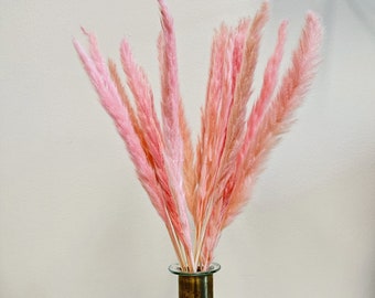 Dried Pink Reed Grass | 15 Stem Bunch | Boho Decor | Dried Flowers | Natural Decor | Boho Flowers | Home Decor