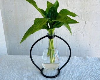 Propagation Bud Vase Tall | Plant Lover | Home Decor | Black | Unique Gift | Indoor Plant | Horticulture | Vase | Pot | Office