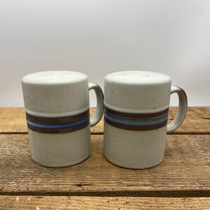 Vintage Ceramic Rustic Shaker Set