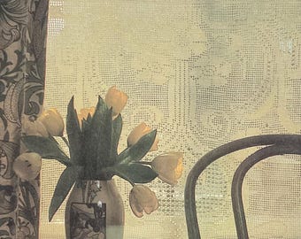 Vintage Floral Crochet Curtain Pattern | Filet Lace Window Panel | Digital Download PDF