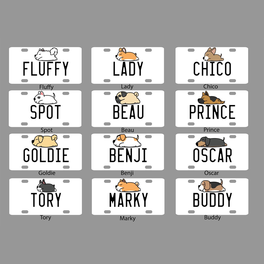 Dog Name Plate for Kennel Custom Mini Aluminum License Name Plate