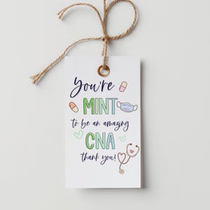 Mint CNA Appreciation Mint Printable Tags. Nurse appreciation gift.