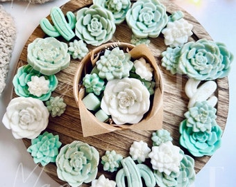 Succulent Garden Wax Melts, Spring Decor, Plant Lovers Gift, Mother's Day Gift Ideas