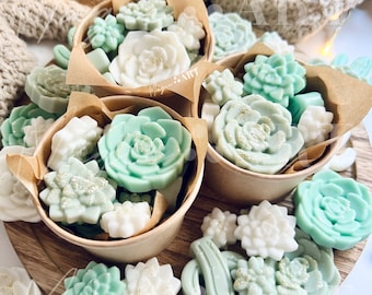 Succulent Garden Wax Melts, Spring Decor, Plant Lovers Gift, Mother's Day Gift Ideas