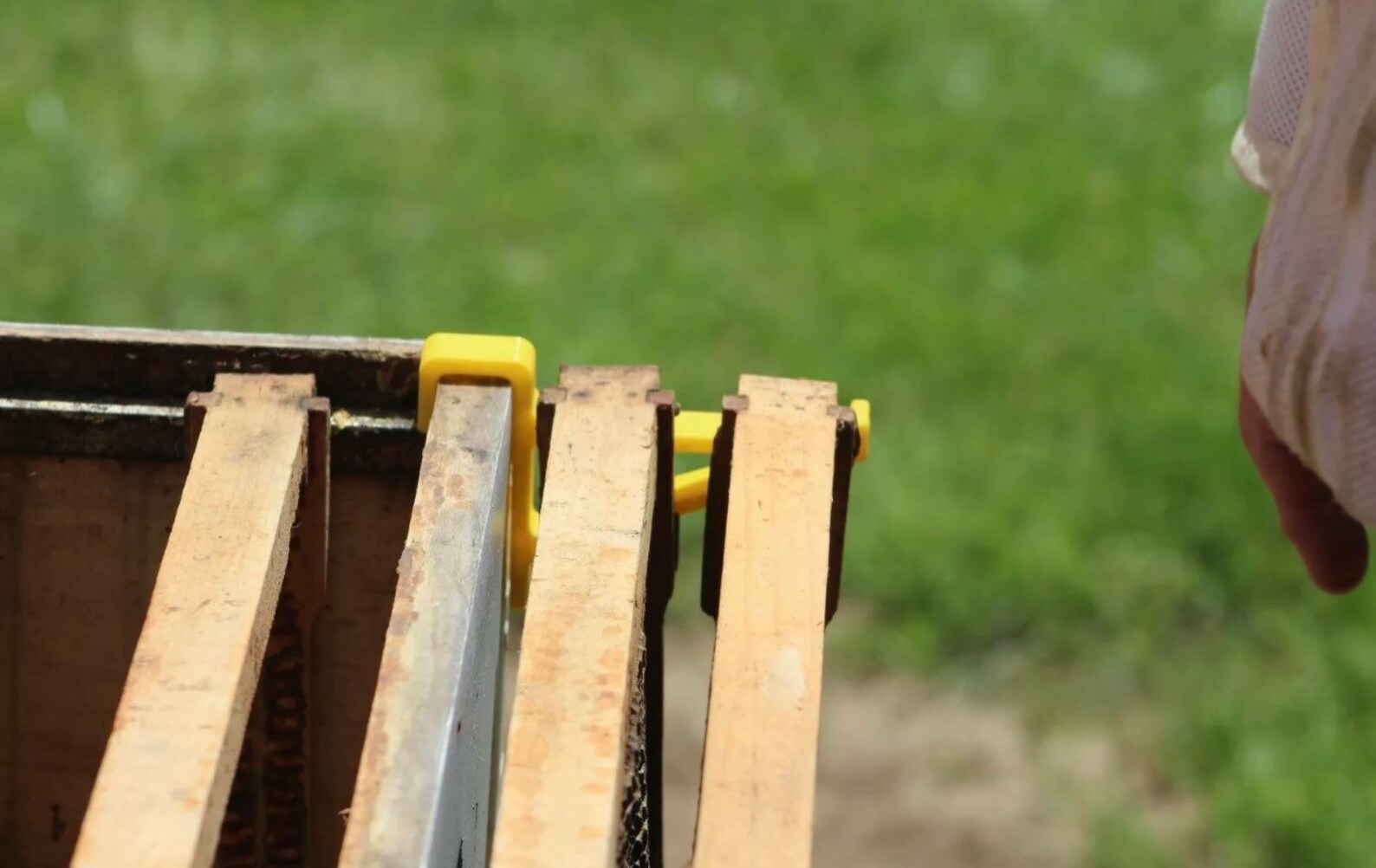 Bee Hive Frame Hangers Bee Keeper Bees sold as a Pair Etsy