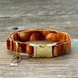 Patch - Hundehalsband, Hunde Geschenk, Hundemode