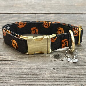 Pumpkin Palooza - Dog Collar, Dog Gift, Dog Fashion