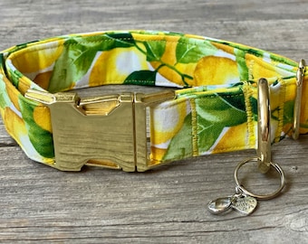 Care for Some Lemonade? - Dog Collar, Dog Gift, Dog Fashion