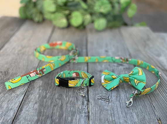 Puppy Pack - Welpenhalsband, Welpenleine, Welpenschleife, neuer Welpe,  Welpengeschenk, kleines Halsband, kleine Leine - Etsy.de
