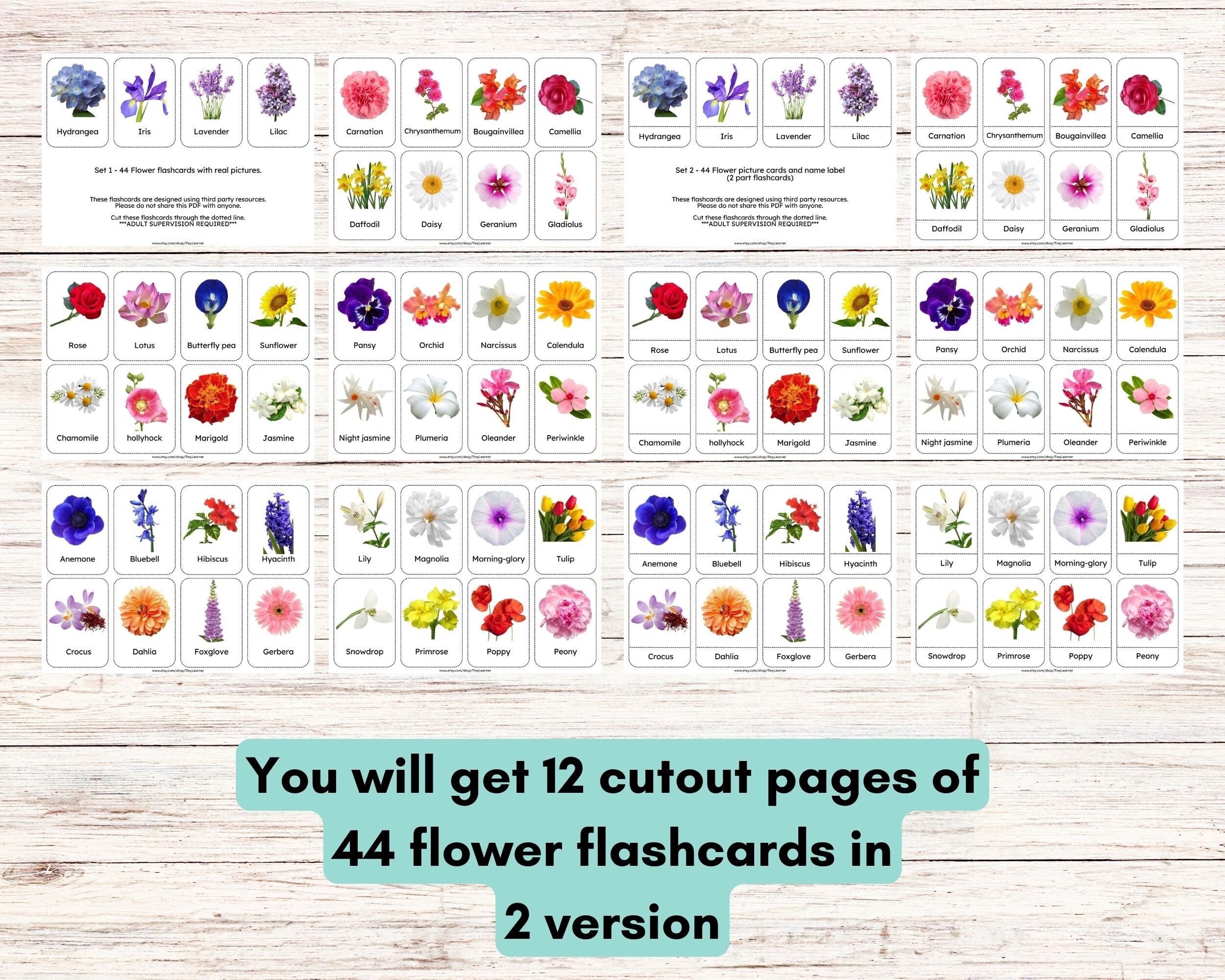 44 Flower Flashcards With Real Picture, 3-part Montessori Flashcards