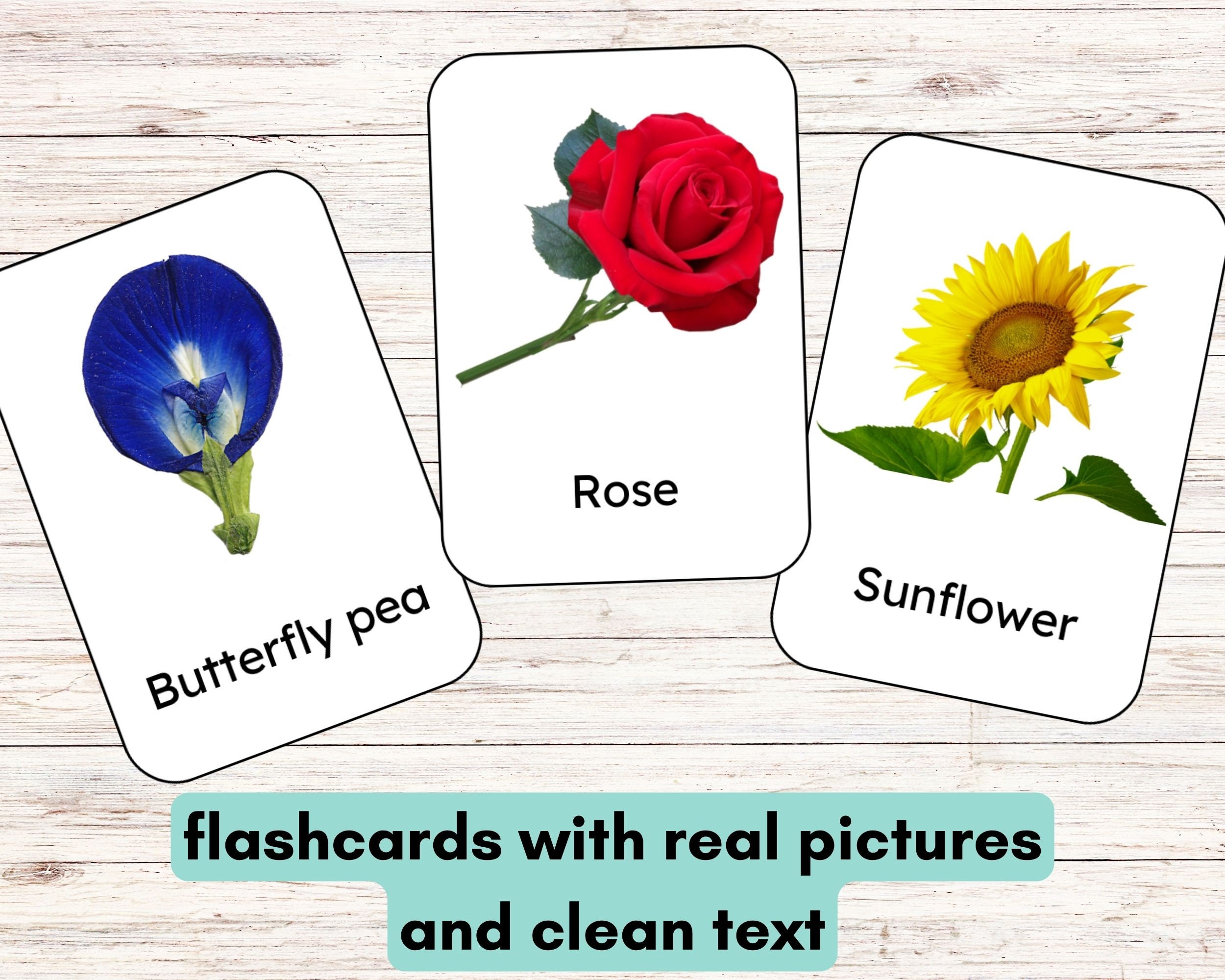 44 Flower Flashcards With Real Picture, 3-part Montessori Flashcards