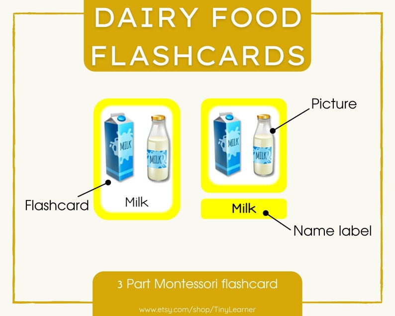 Buy DAIRY FOOD Flashcard Food Groupmontessori Online in India Etsy